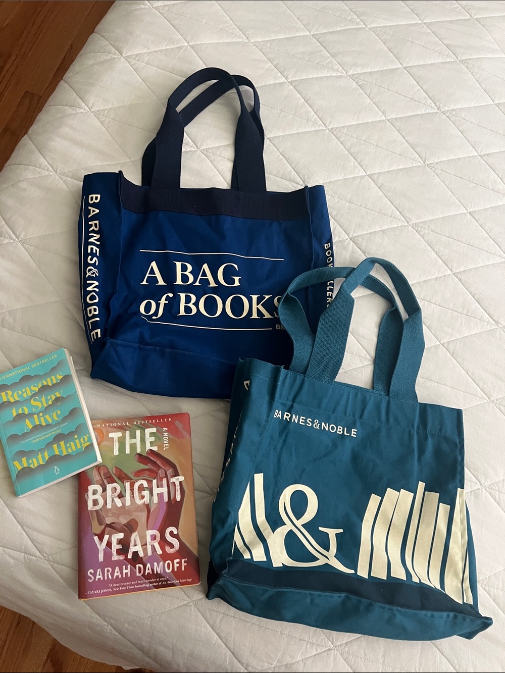 PAIR of Barnes & Noble A BAG of BOOKS Tote Bags - teal and deep royal blue - Picture 2 of 16